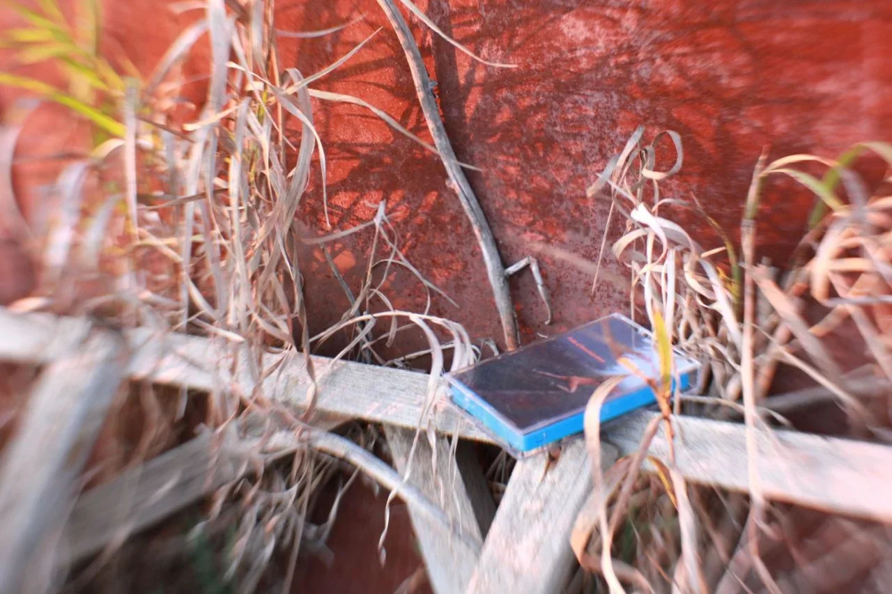 fields of domodedovskaya cassette 1