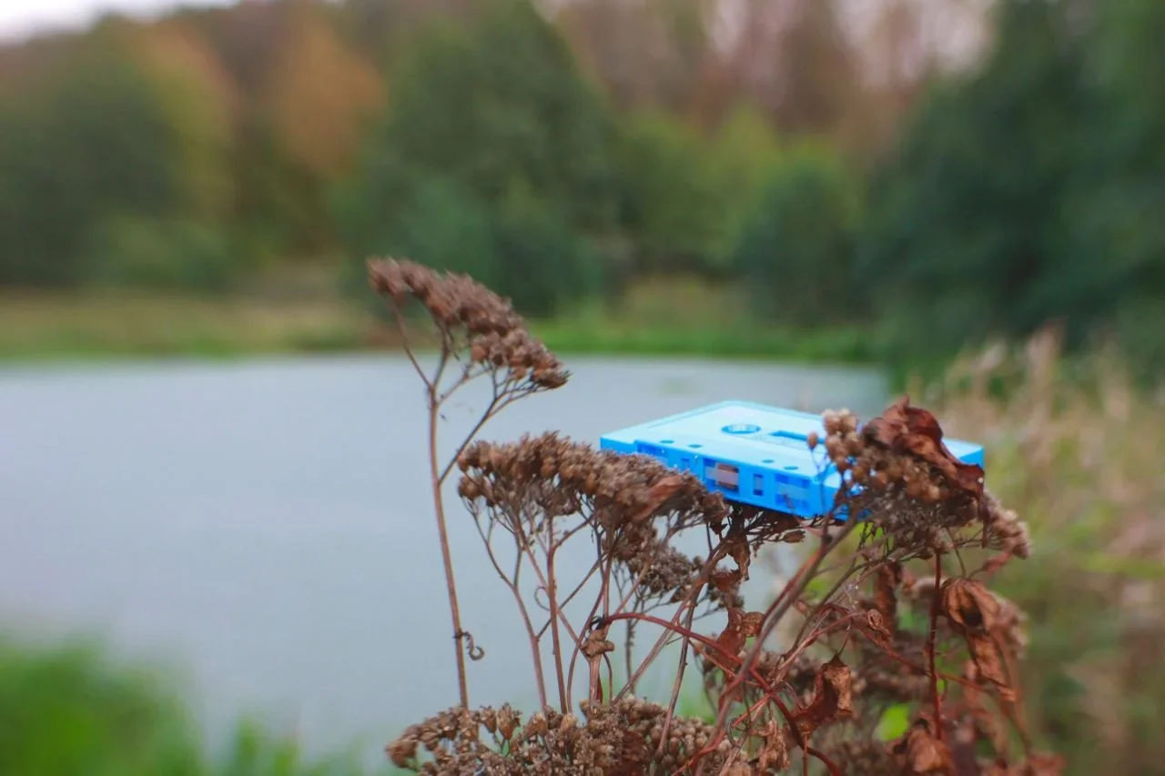 fields of domodedovskaya cassette 3