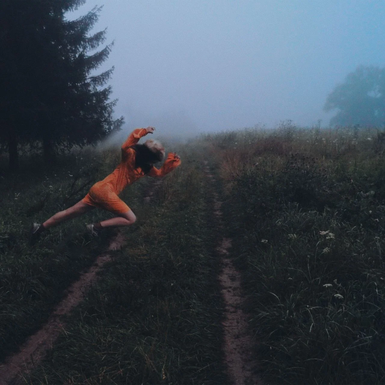 Kisser - Fields of Domodevskaya