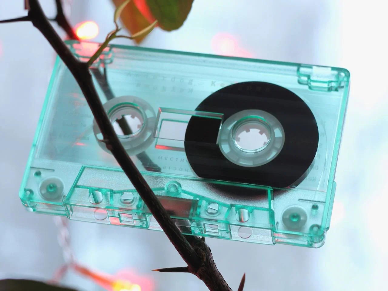 anderdog kelgoma cassette 1