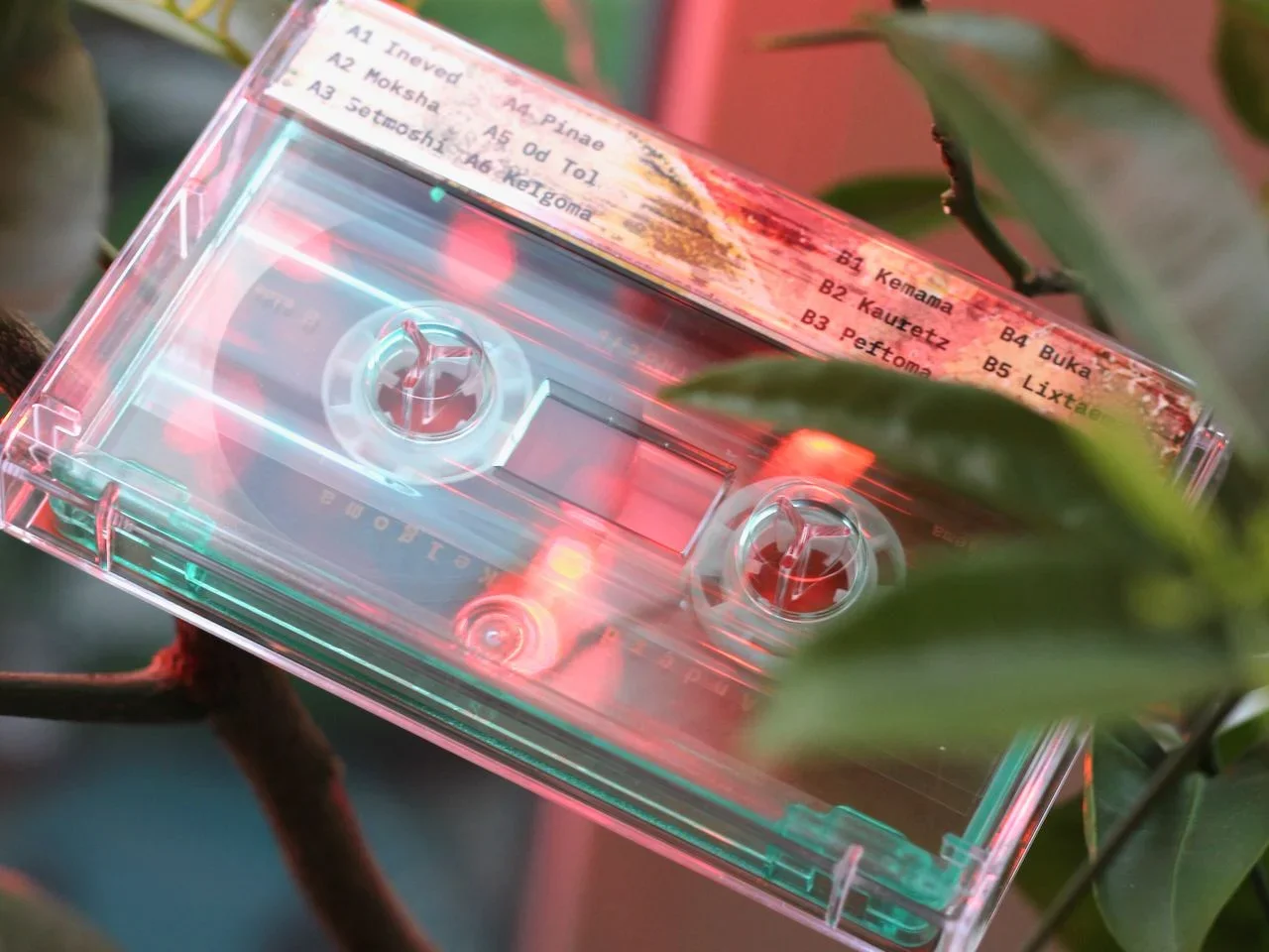 anderdog kelgoma cassette 3