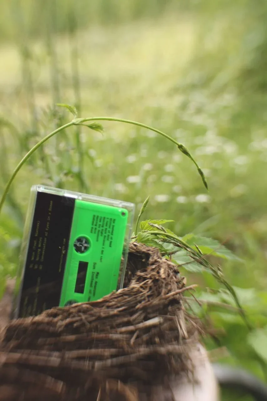 max ananyev sun instead of head cassette 1