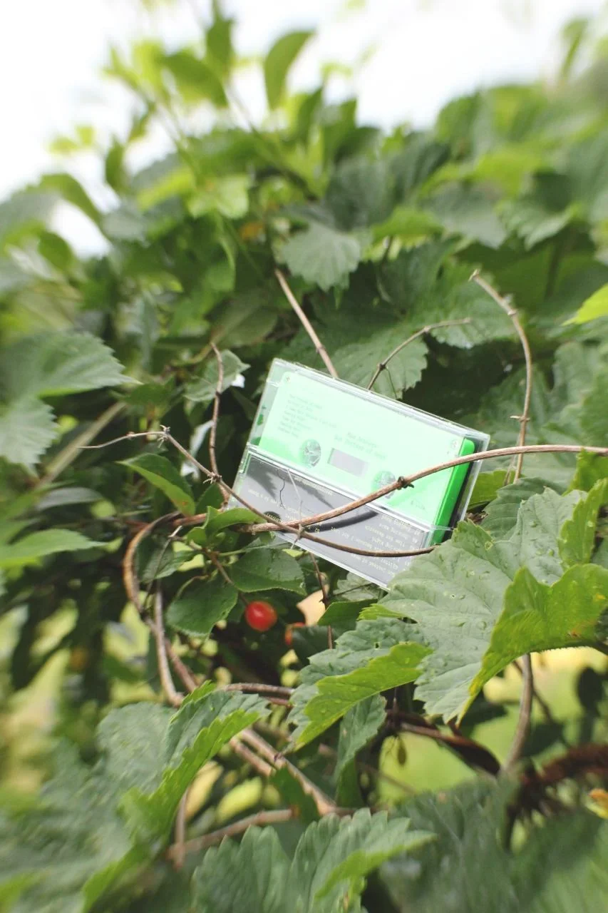 max ananyev sun instead of head cassette 3