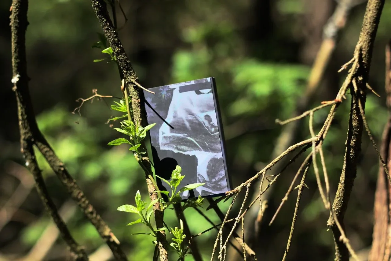 Vvvedenskaya Attempts