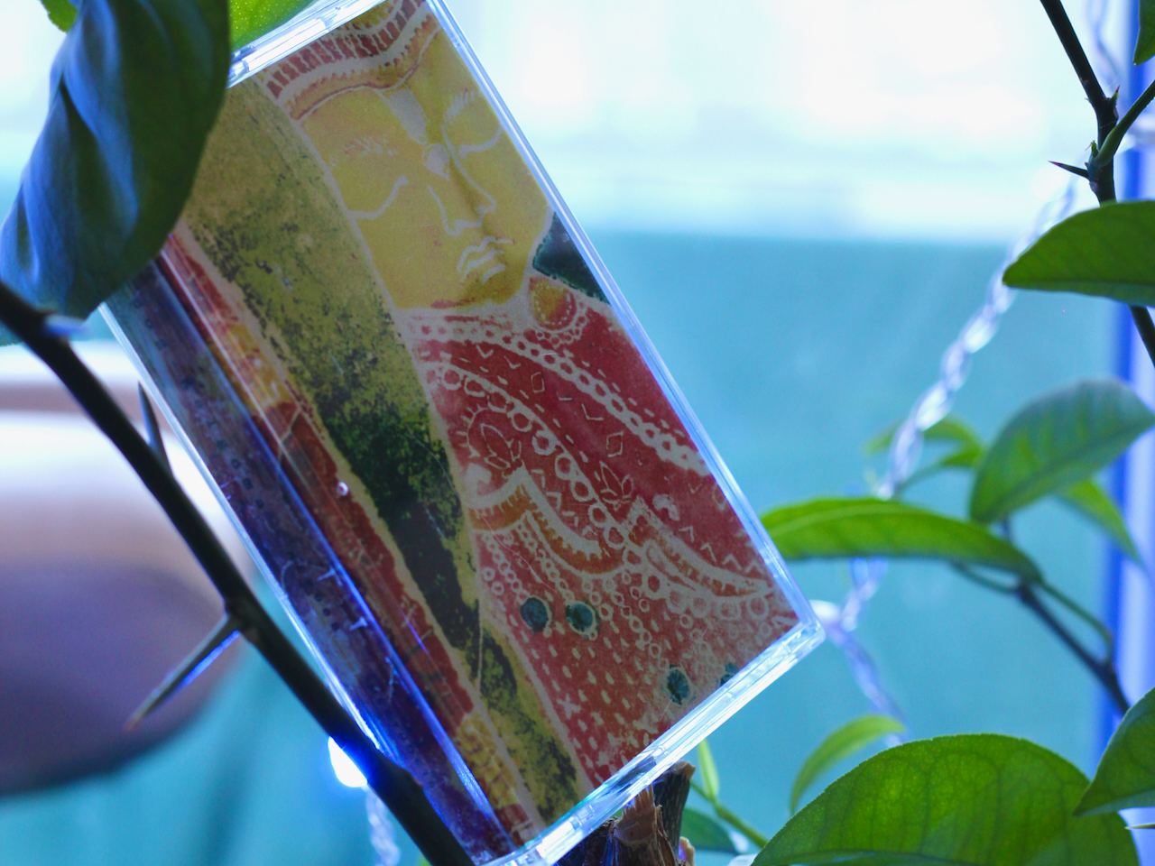 anderdog kelgoma cassette 1