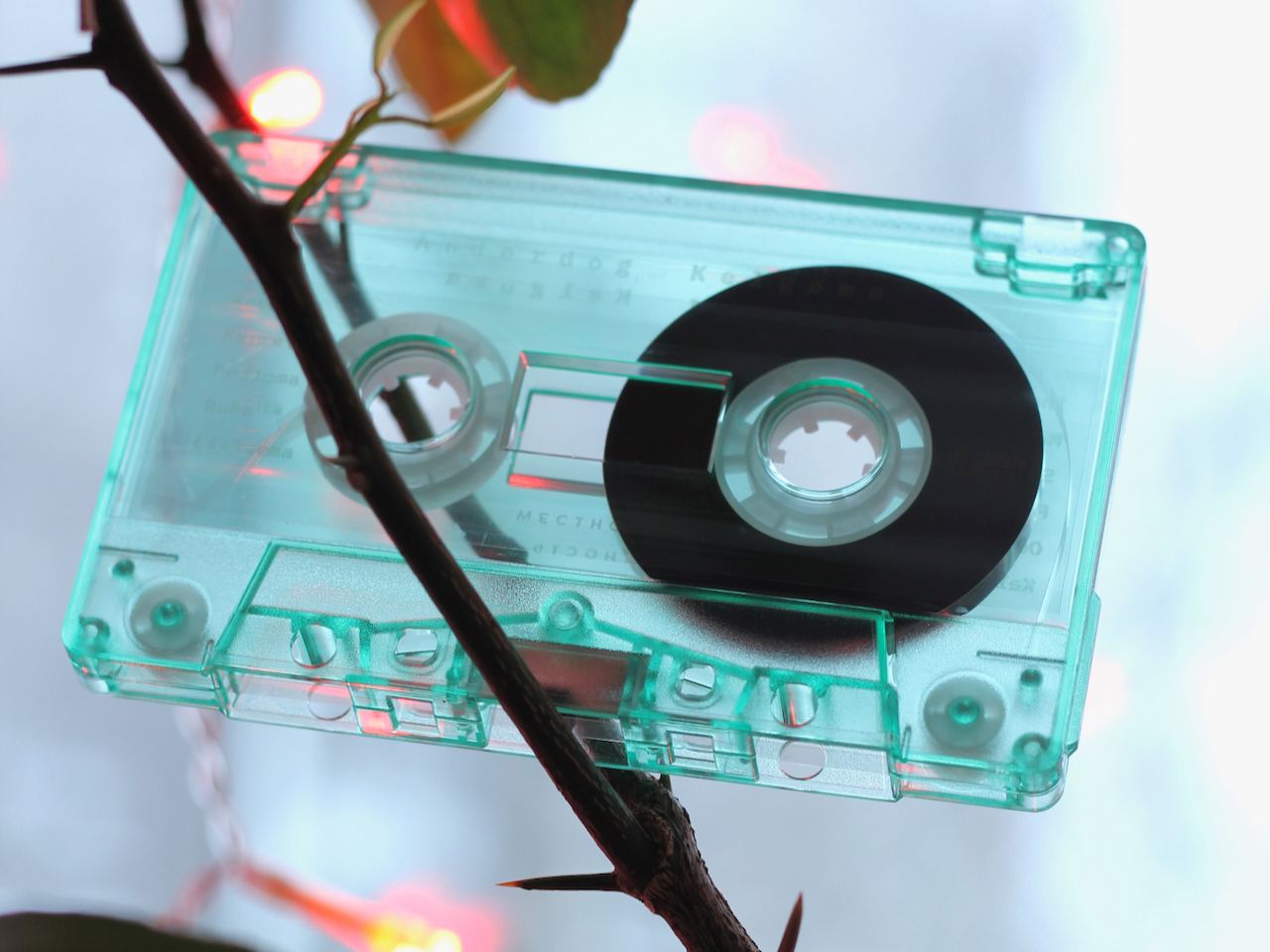 anderdog kelgoma cassette 2