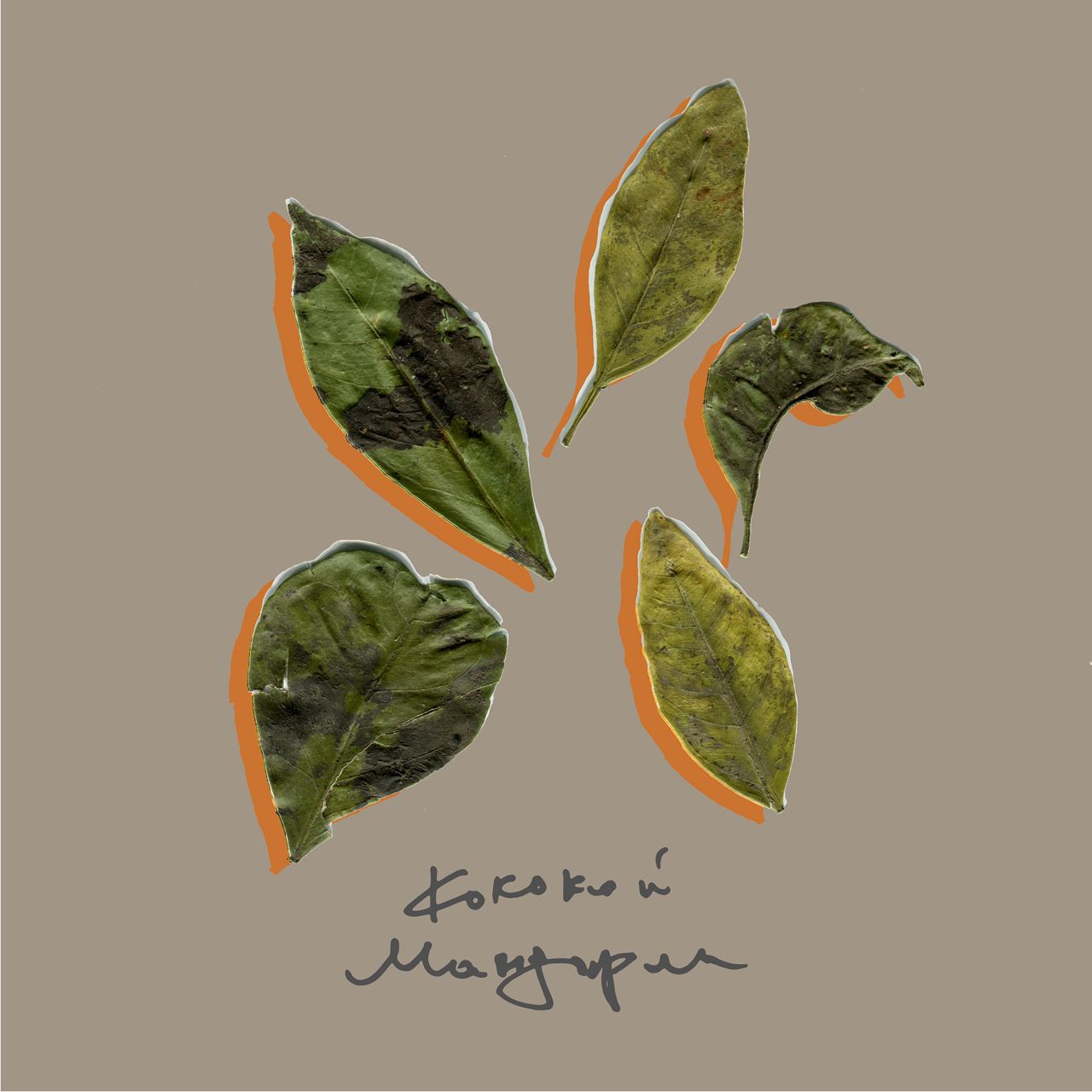 Kokokei - Mandarin