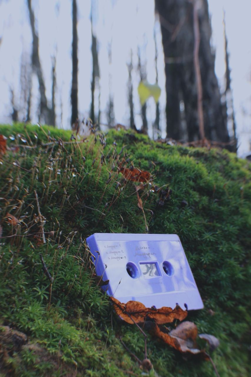 mandarin cassette 1