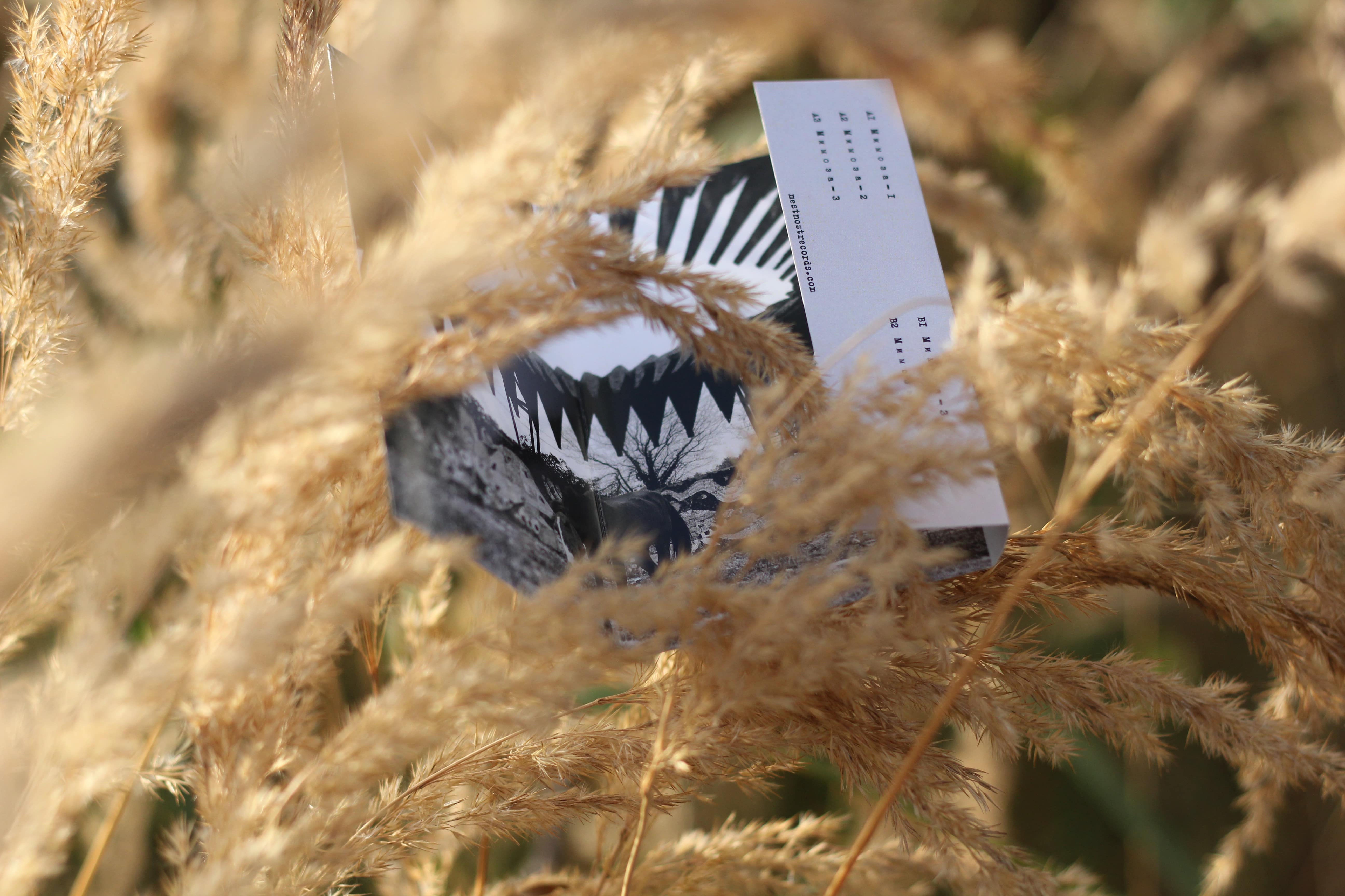 mimoza cassette 1
