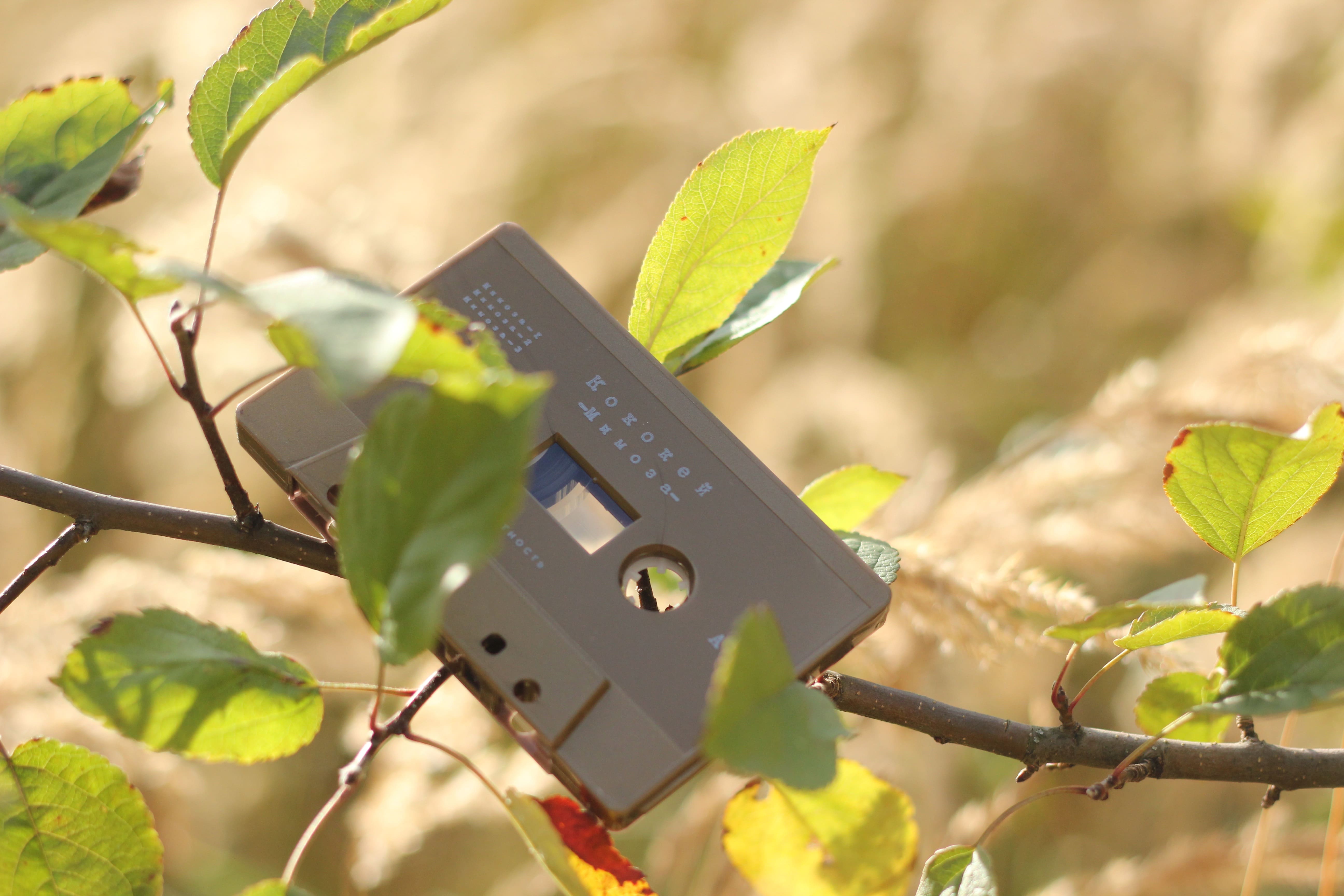 mimoza cassette 3